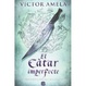 Cover of El Càtar Imperfecte