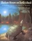 Cover of "Thirteen Moons on Turtle's Back"