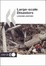 Cover of Large-Scale Disasters