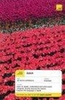 Cover of Teach Yourself Dutch Complete Course