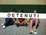 Cover of Detenuti