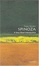 Cover of "Spinoza"