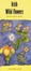 Cover of "Pocket Guide to Irish Wildflowers"