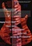 Cover of "Bass Guitar"