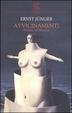 Cover of Avvicinamenti