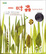 Cover of 一吋蟲