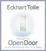 Cover of "Through the Open Door to the Vastness of Your True Being"