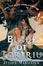 Cover of "Blade of Fortriu"