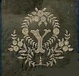 Cover of Y