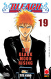 Cover of Bleach vol.19