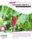 Cover of "Foundation Expression Blend 2"