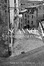 Cover of SCANNO