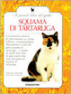 Cover of Il piccolo libro del gatto squama di tartaruga