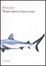 Cover of Mentre dorme il pescecane