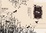 Cover of 鞋教徒