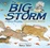 Cover of The Big Storm