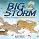 Cover of The Big Storm