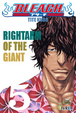 Cover of Bleach 5