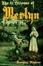 Cover of "The 21 Lessons of Merlyn"