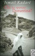 Cover of Chi ha riportato Doruntina?