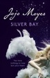 Cover of Silver Bay