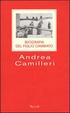 Cover of Biografia del figlio cambiato