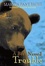 Cover of "A Bear Named Trouble"