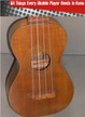 Cover of 101 things every Ukulele player needs to know