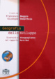 Cover of Geografia dello sviluppo