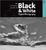 Cover of The Complete Guide to Black and White Digital Photography