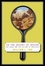 Cover of 'IN THE DESERT OF DESIRE'