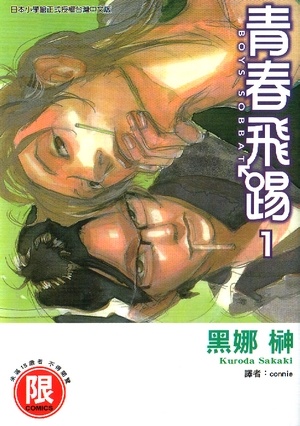青春飛踢 1的圖像