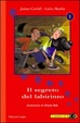 Cover of Il segreto del labirinto
