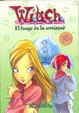 Cover of El fuego de la amistad