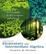 Cover of Elementary and Intermediate Algebra
