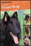 Cover of I cani da pastore belgi