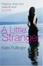 Cover of 'A Little Stranger'