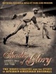 Cover of Shades of Glory
