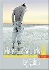 Metes and Bounds : A Novel (Southern Tier)