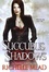Cover of Succubus Shadows