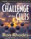 Cover of The Challenge of the Cults and New Religions