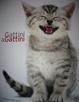 Cover of Gattini & Gattini