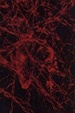 Cover of Suono Sacro Sogno