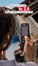 Cover of Ve 2.0