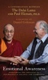 Cover of Emotional awareness