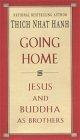 Going Home : Jesus and Buddha as Brothers