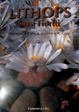 Cover of Lithops. Sassi fioriti.