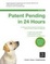 Cover of "Patent Pending in 24 Hours"