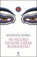Cover of Sei sicuro di non essere buddhista?