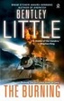 Cover of The Burning